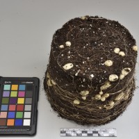 CIP760459_HHA 6616_Tb.JPG