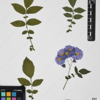 CIP 760462_HHA 6620_07.jpg