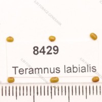 8429.jpg