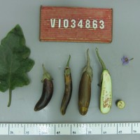 001 VI034863.JPG