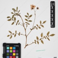 CIP 763474_OCHS 12061a_01.jpg