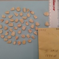 CIMMYTMA 5471 - Reference Inventory.jpg