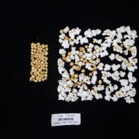 Popped and not popped comparison labeled.jpg