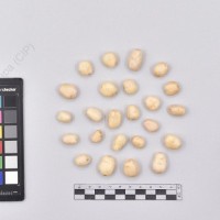 CIP 761727_OCH 13685_acl_T_2024.jpg