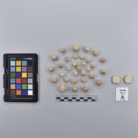 CIP765700_RPSP 012_T.JPG