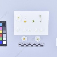 CIP 760017_OCH S49_pcsxhcb_F-2_2024.jpg