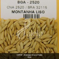 BRA00001650-1.JPG