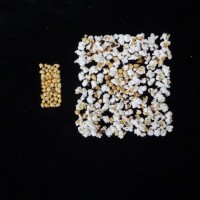 Popped and not popped comparison.jpg