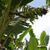 6.4.6 - Bunch position