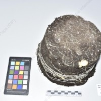 CIP 761464_OCH 13005_acl_Tb_2024.jpg