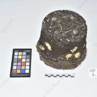 CIP 765693_RPSP 004_acs_Tb_2024.jpg