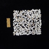 Popped and not popped comparison.jpg