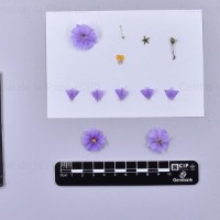 CIP 764062_SPV 6339_oti_F(i).jpg