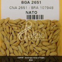 BRA00001725-1.JPG