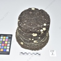 CIP 761364_OCH 11954_blv_Tb_2024.jpg