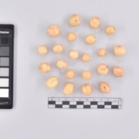 CIP 761833_OCH 13832_buk_T_2024.jpg