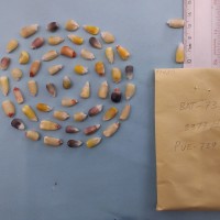 CIMMYTMA 7748 - Reference inventory.jpg