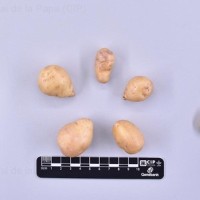 CIP 765722_RPSP 034_acs_T(t).jpg