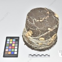 CIP 761670_OCH 13609_cop_Tb_2024.jpg