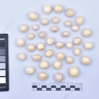 CIP 761700_OCH 13658_rap_T_2024.jpg