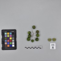 CIP760466_HHA 6650_B.JPG