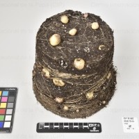 CIP 761507_OCHS 13144_med_Tb(i).jpg