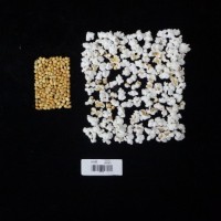 Popped and not popped comparison labeled.jpg