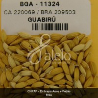 BRA00008659-5.JPG