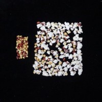 Popped and not popped comparison.jpg