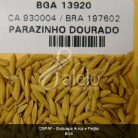 BRA00011218-5.JPG