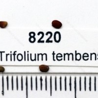 8220.jpg