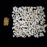 Popped and not popped comparison.jpg