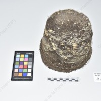 CIP 760862_VSLC 150_acl_Tb_2024.jpg