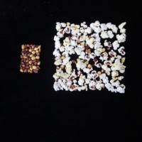 Popped and not popped comparison.jpg