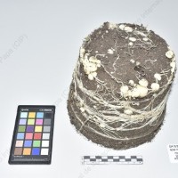 CIP 761069_OCHS 11059_chq_Tb_2024.jpg