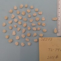 CIMMYTMA 5227 - Reference Inventory.jpg