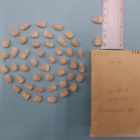 CIMMYTMA 7181 - Reference inventory.jpg