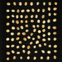 CIMMYTMA 5657 CUBA 67 AF17A-0903-114 K.jpg