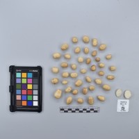 CIP760816_VSLC 141_T.JPG