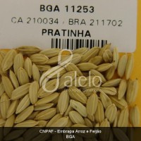 BRA00008588-6.JPG