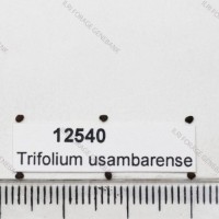 12540.jpg