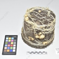 CIP 761234_OCHS 11613_mcq_Tb_2024.jpg