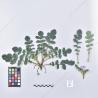 CIP 761404_OCH 12033_acl_H_2024.jpg