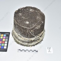 CIP 761726_OCH 13684_buk_Tb_2024.jpg