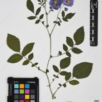 CIP 760462_HHA 6620_06.jpg