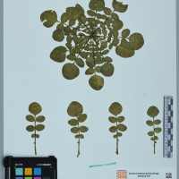 200045_HHA 6604 CIP 760456.JPG