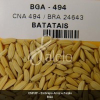 BRA00000371-5.JPG