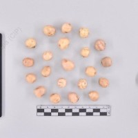 CIP 760462_HHA 6620_brc_T_2024.jpg