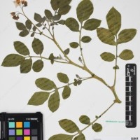 CIP 760433_HHA 6521_04.jpg