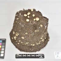 CIP 760688_OKA 4350_opl_Tb.jpg